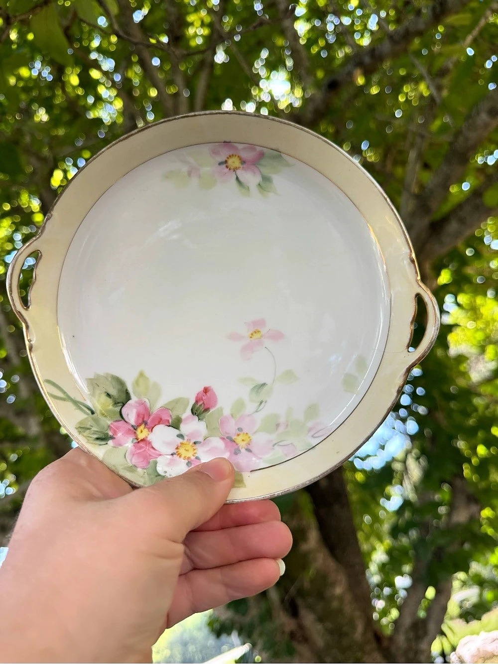 Antique Nippon Floral plate in White & Pink